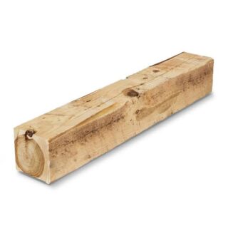 Treated Pine Post 100x100